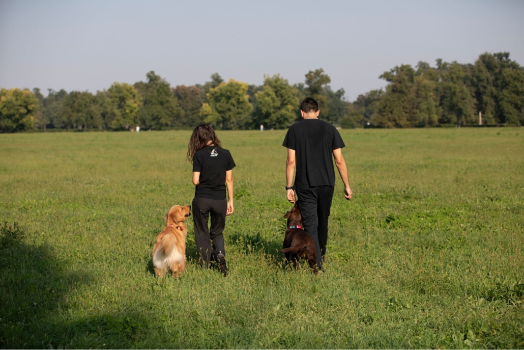 HeyBau_educatori_cinofili_novate_milanese